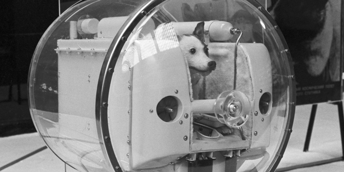 Первая собака в спутнике. Собака лайка 1957. Лайка космонавт. Лайка в космосе. Собака лайка на спутнике 2.