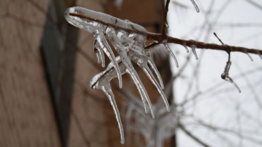 Синоптики: Ледяные дожди вернутся в Москву на следующей неделе