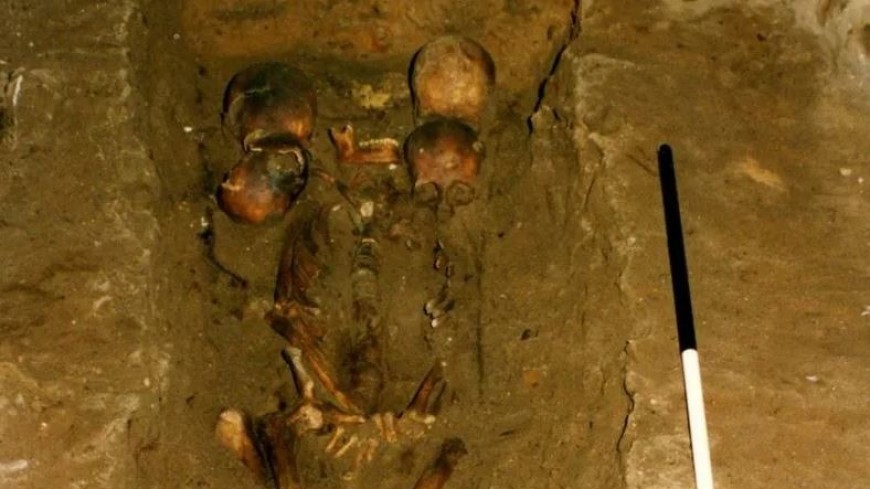Генетики провели ДНК-анализ «Шестиглавому вождю» из старинной могилы