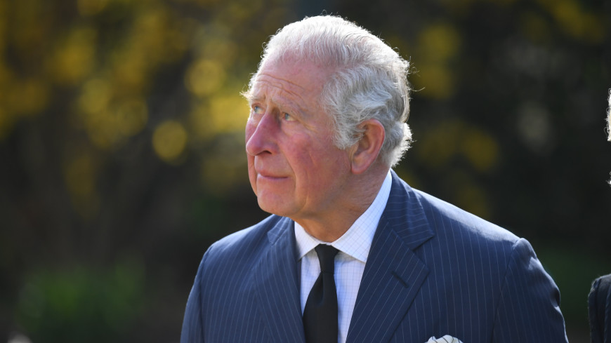 Принц Чарльз может исключить принца Гарри и Меган Маркл из королевской семьи