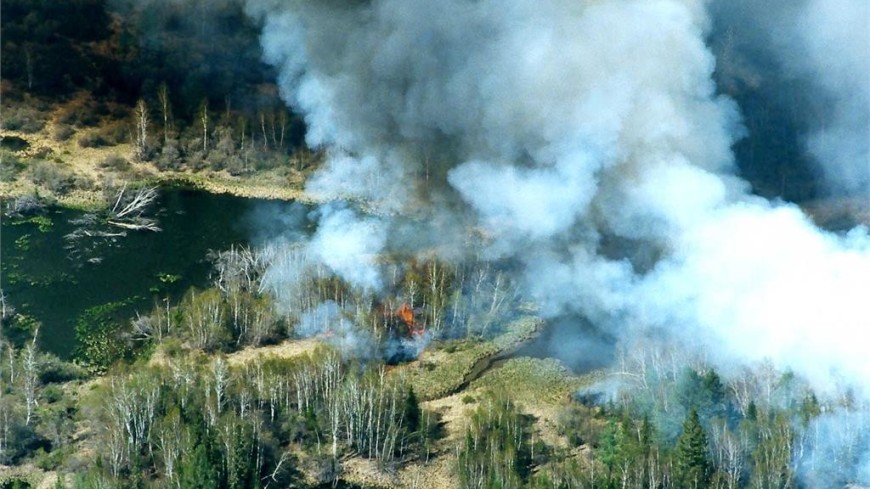 Площадь природных пожаров в России выросла до 15 тысяч гектаров
