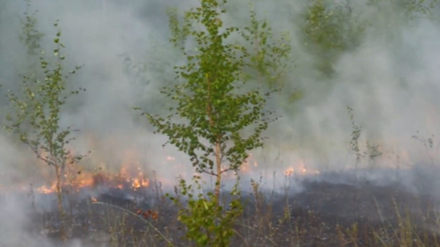 В Якутии полыхают 93 природных пожара: пламя вплотную подошло к двум селам