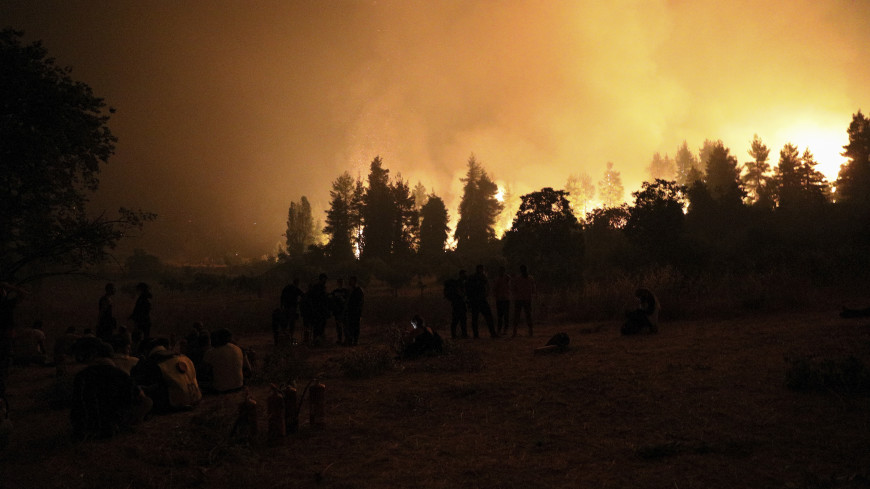 В Греции взяли под контроль бушевавшие несколько дней лесные пожары