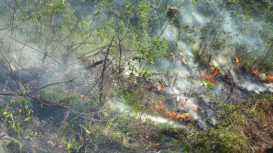 Из-за задымления от лесных пожаров в Якутии в Красноярске ввели режим «черного неба»