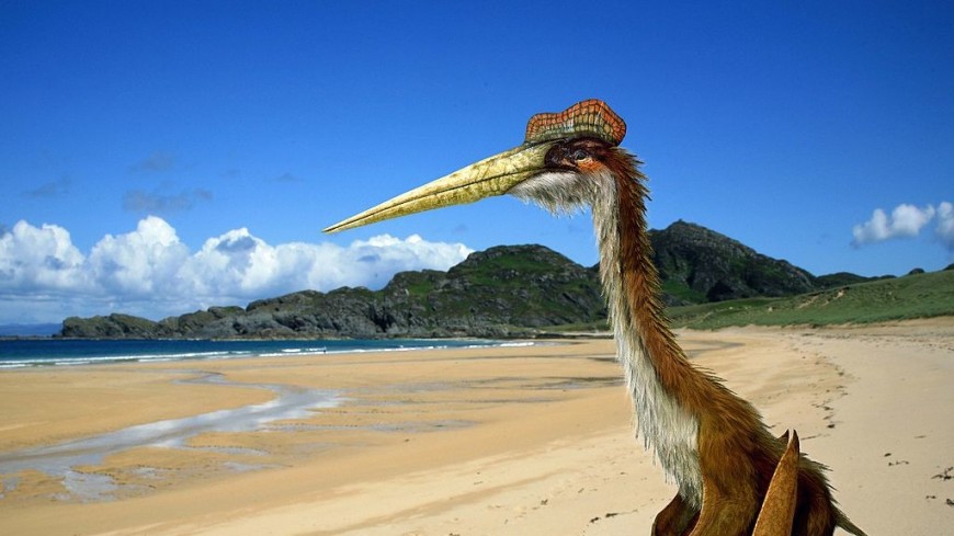 Подпрыгивал и начинал махать крыльями: ученые узнали, как летал гигантский птерозавр