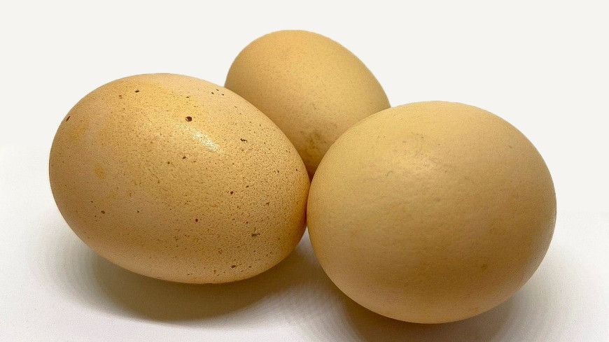 Овальное, гладкое и хорошо чистится: как сварить идеальные яйца для салата?