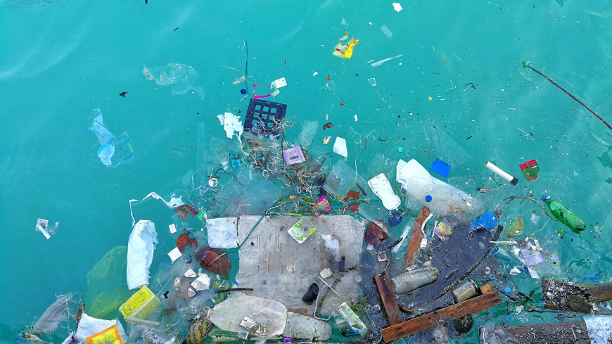 В тихоокеанском Большом мусорном пятне появилась жизнь