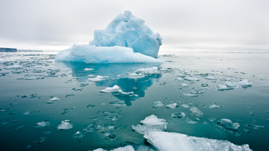 Под антарктическим ледником нашли оазис древней жизни