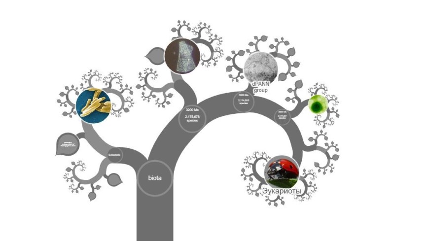 Биологи создали крупнейшее эволюционное древо в истории науки
