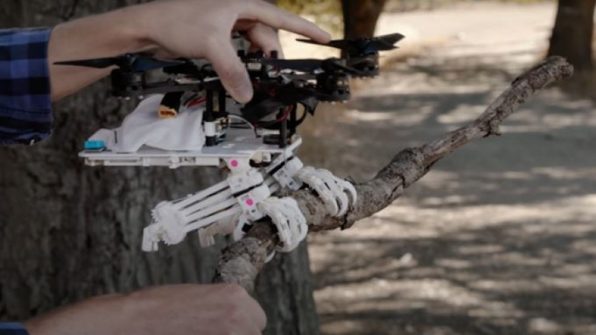 Инженеры из США создали робота с птичьими повадками
