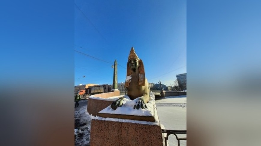 Вандалы в Петербурге раскрасили сфинксов на Египетском мосту