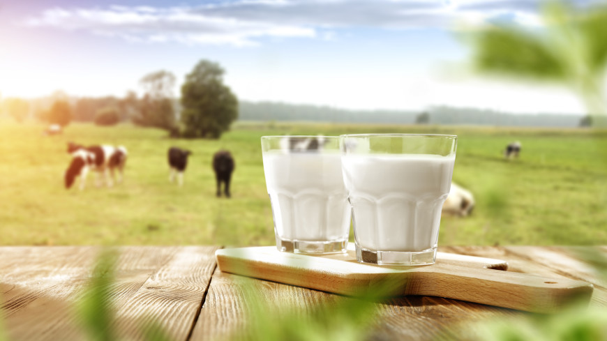 В Архангельской области завод начал производство обогащенное селеном молоко