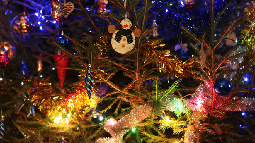 Фото: Елизавета Шагалова, &quot;«МИР 24»&quot;:http://mir24.tv/, елочные игрушки, новый год, елка