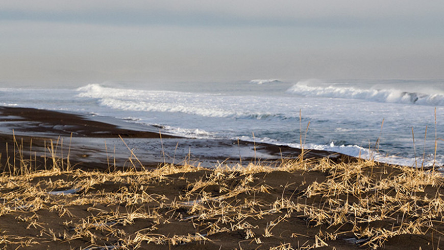 © Фото: Петр Королев, МТРК «Мир», берег, камчатка, море