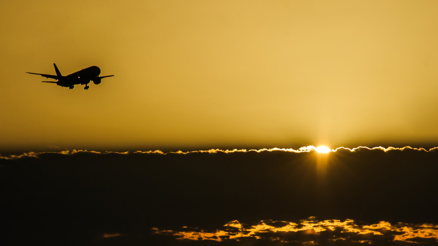 Самолёт, летевший рейсом Екатеринбург – Ноябрьск, столкнулся с птицей