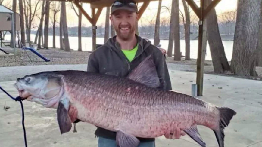 Американец поймал гигантскую рыбу, запрещенную в США