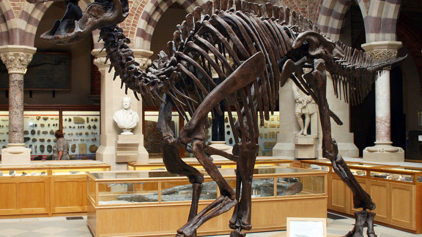 Останки утконосых динозавров обнаружили в штате Миссури