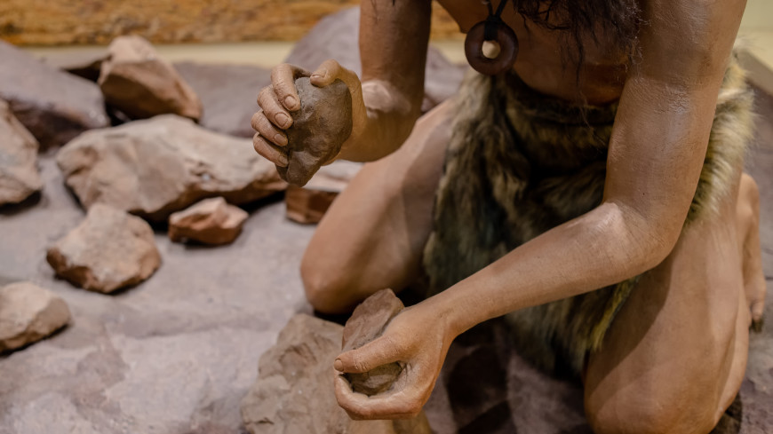 У неандертальца из Ла-Шапель выявили древнейший случай бруцеллеза
