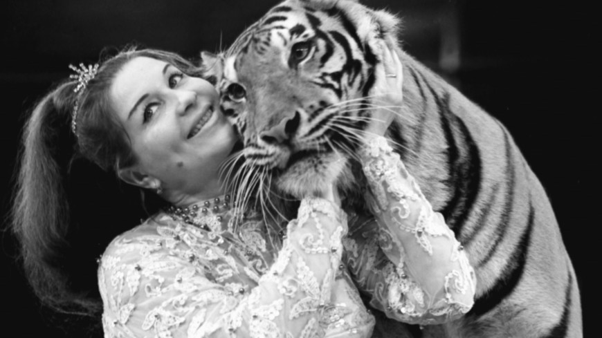 Укротительница тигров: 95 лет назад родилась дрессировщица Маргарита Назарова