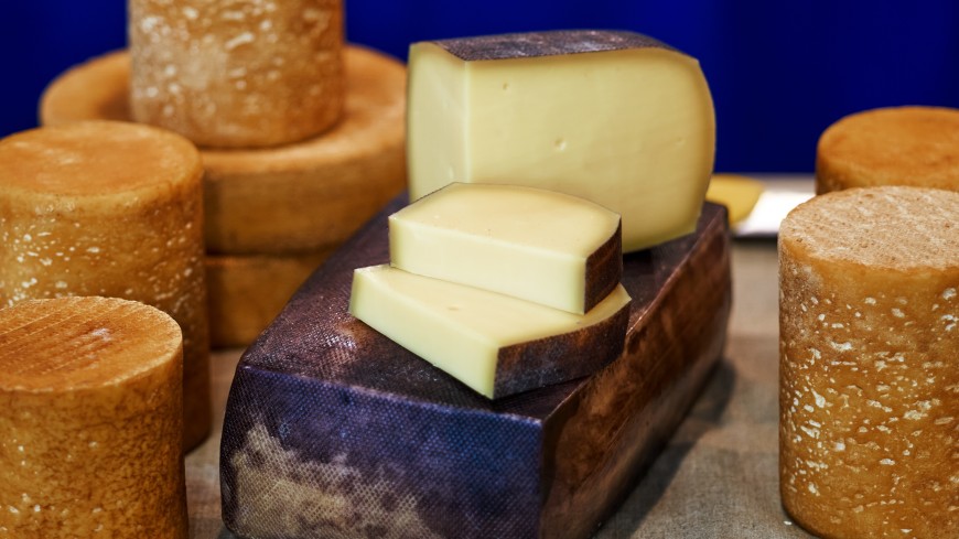 Как выбрать качественный сыр? Советы эксперта