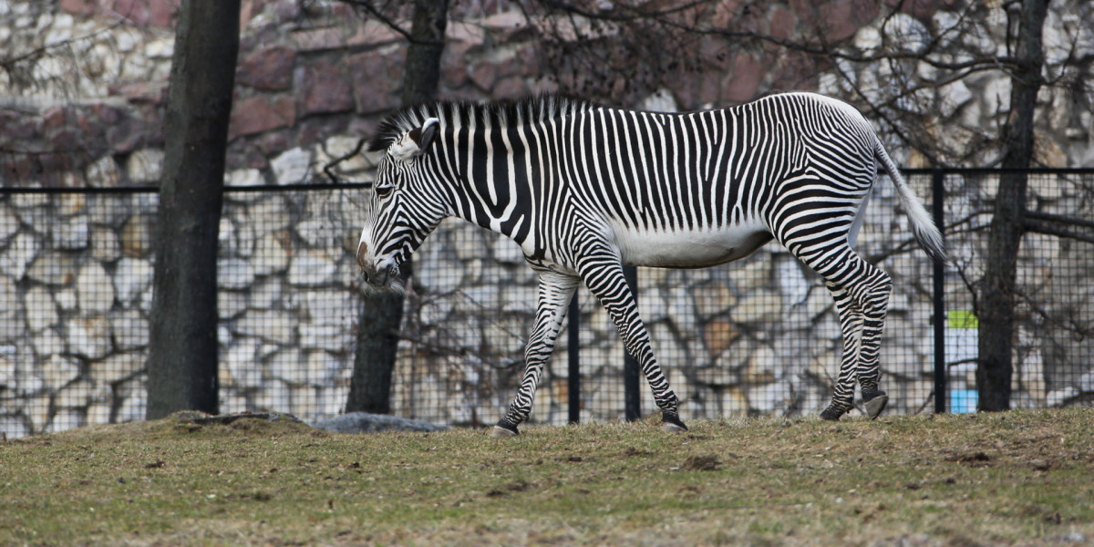 Британский зоопарк