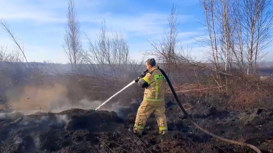 Последний очаг возгорания торфяника ликвидирован в Екатеринбурге