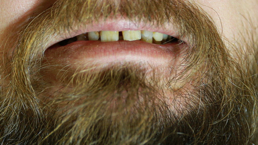 борода, мужчина, лицо, рот, губы, зубы, волосы, щетина, бритва, брить, усы, подбородок, растительность, щеки, брутальность, барбершоп, пари%