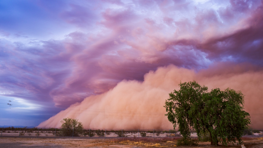 Буря на закате desert