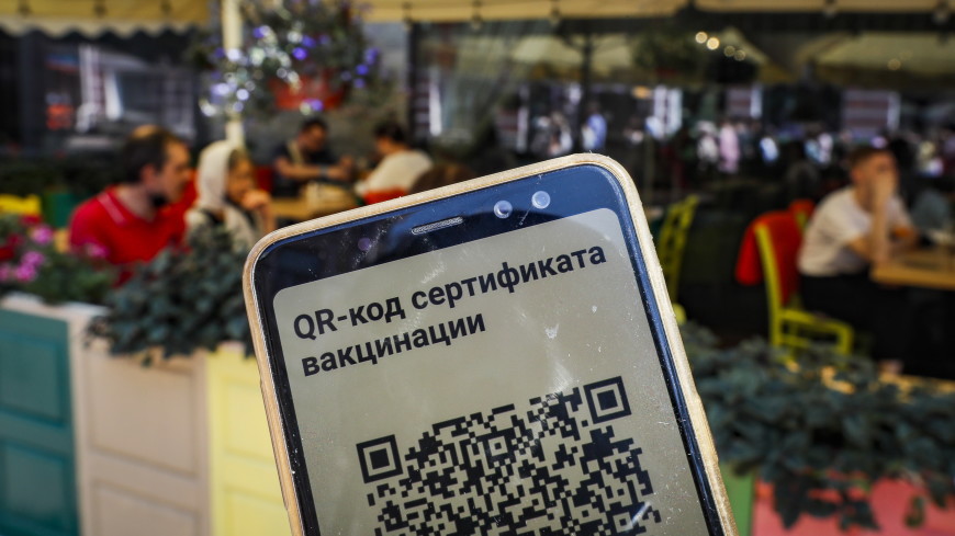 QR-коды для посещения общественных мест введут в Курске