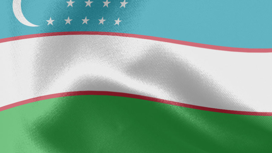 Миссия СНГ: Избирательная кампания на выборах в Узбекистане проходит конкурентно