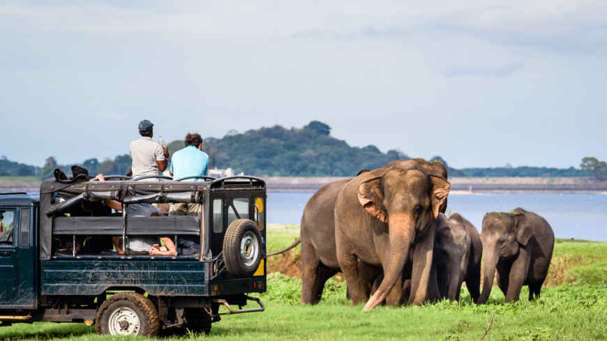Шри-Ланка с 1 октября отменит ПЦР-тесты для привитых от COVID-19 туристов