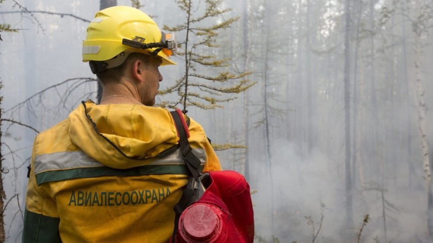 В России за сутки потушили 143 природных пожара