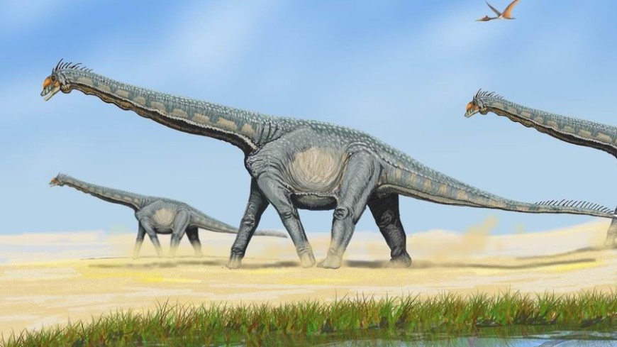 В Австралии нашли самого маленького динозавра-зауропода