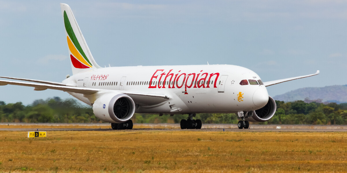 Ethiopian airlines рейс. Эфиопские авиалинии 787. Boeing 737-800 эфиопские авиалинии. Ethiopian Airlines посадочный. Самолет ethioplan Airlines Fight 209.