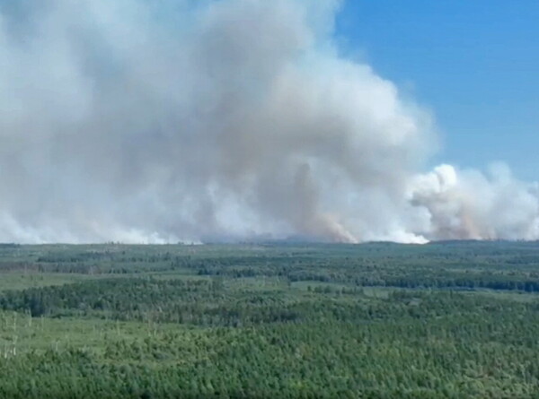 Дым от пожаров в Рязанской области добрался до Москвы