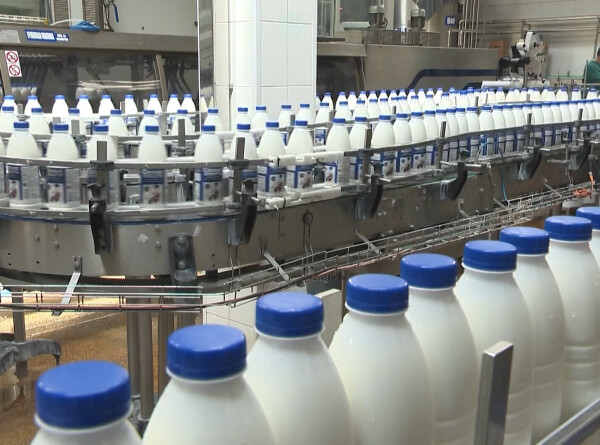 Сделано в Беларуси: страна производит экологичную упаковку для молока