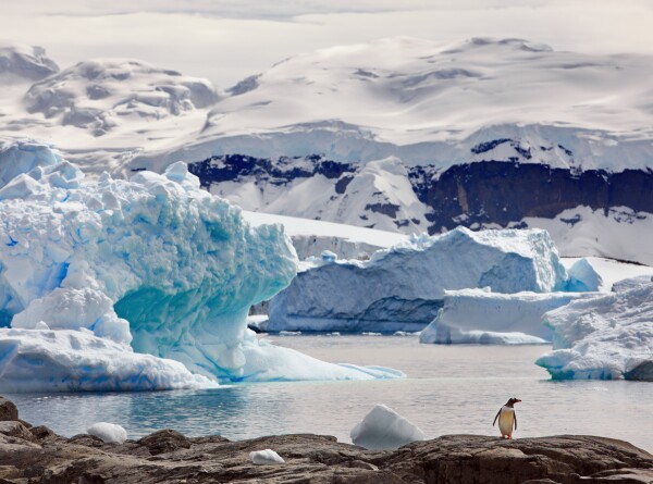 В NASA оценили потери ледового покрова Антарктиды