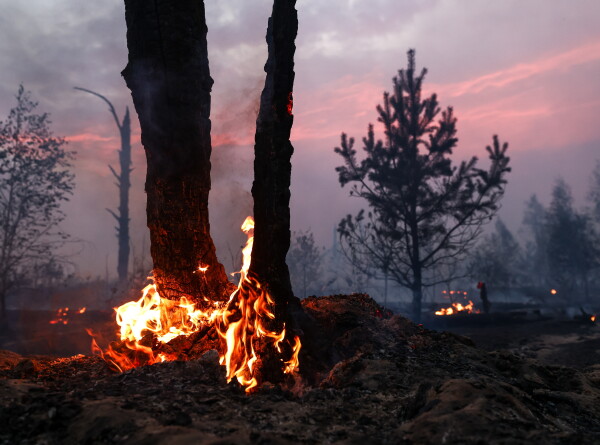 Авиация в помощь: как тушат природные пожары в Рязанской области