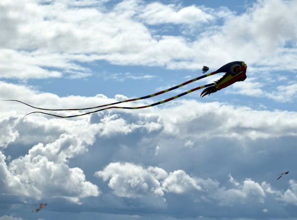 Яркий &laquo;МИР&raquo;: воздушные змеи украсили петербургское небо (ФОТО)