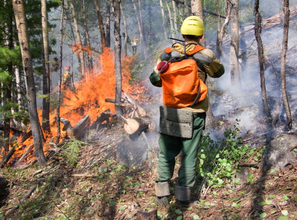 За сутки лесопоржарные службы потушили в России свыше 50 природных пожаров
