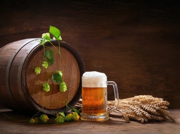 Пиво из 400-летних дрожжей приготовил ученый из Эквадора