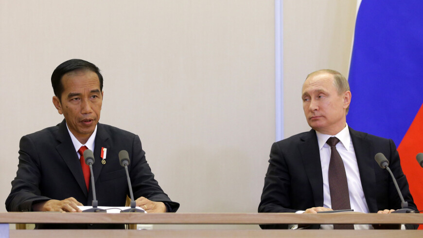 Путин обсудил с главой Индонезии саммит G20 и двусторонние отношения