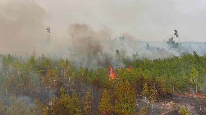 Путин заявил о рисках ухудшения ситуации с природными пожарами