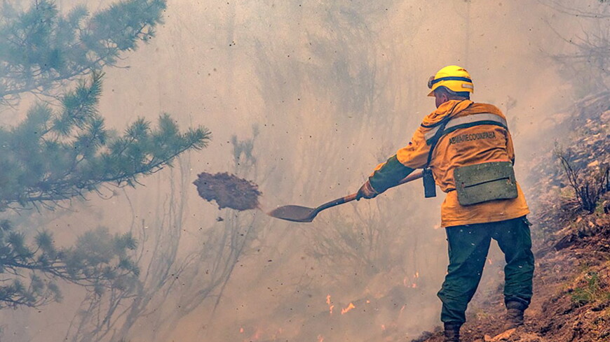 Последний действовавший в Якутии лесной пожар потушен