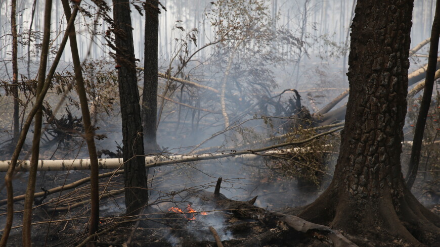 Торфяники на трех гектарах продолжают гореть под Владимиром