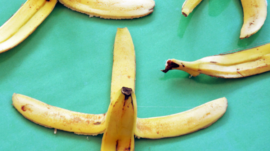 Немецкий политик предложил получать газ из банановой кожуры