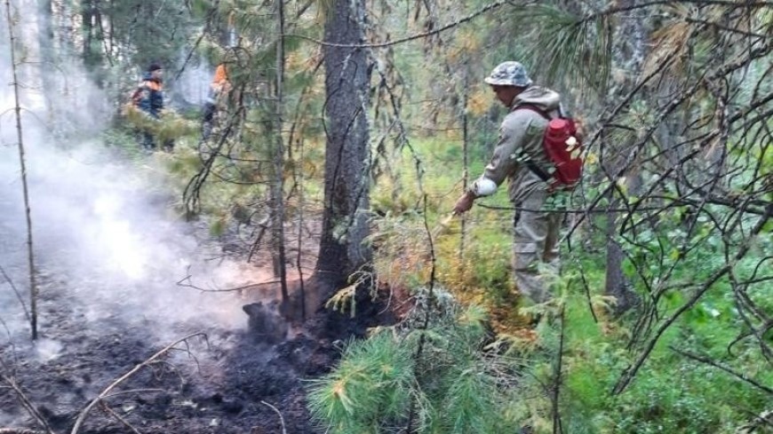 Свыше 1200 человек тушат лесные пожары в ХМАО