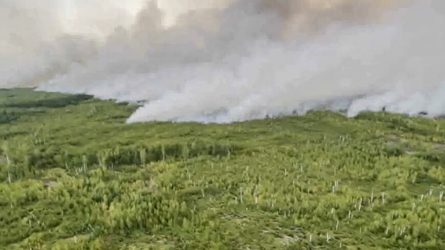 Пожары в Рязанской области перекинулись на торфяники