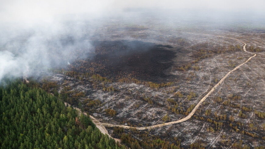 Верховые лесные пожары под Рязанью ликвидированы