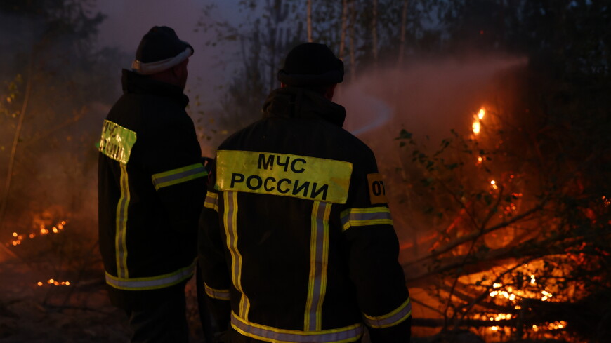 Григоренко: Активный очаг лесного пожара под Рязанью локализуют в течение суток